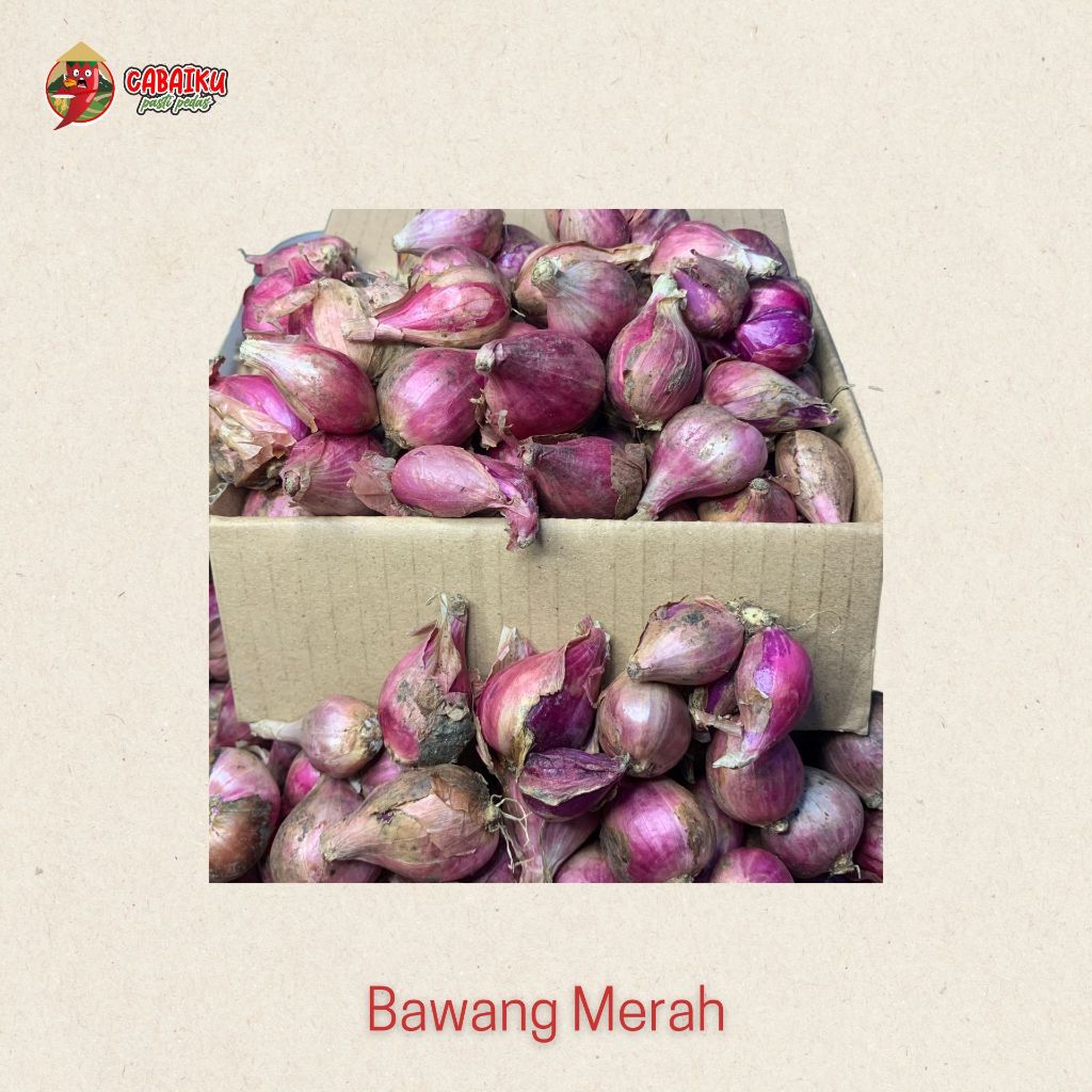 

Bawang Merah (Belum Kupas)