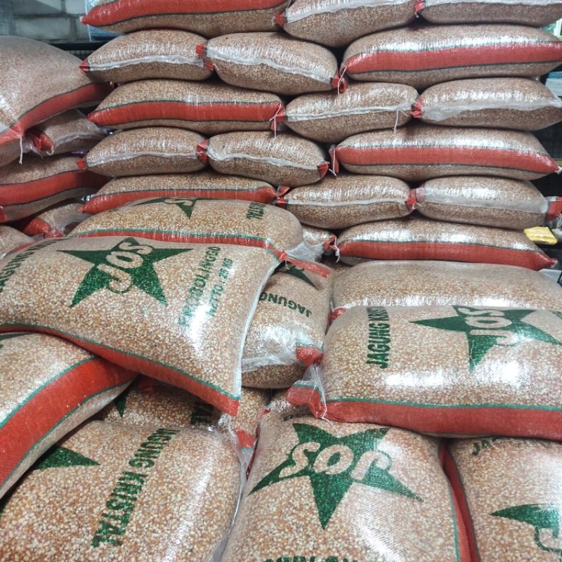 jagung kristal merpati 5 kg, 10kg, 20 kg, 25 kg, jagung burung dara