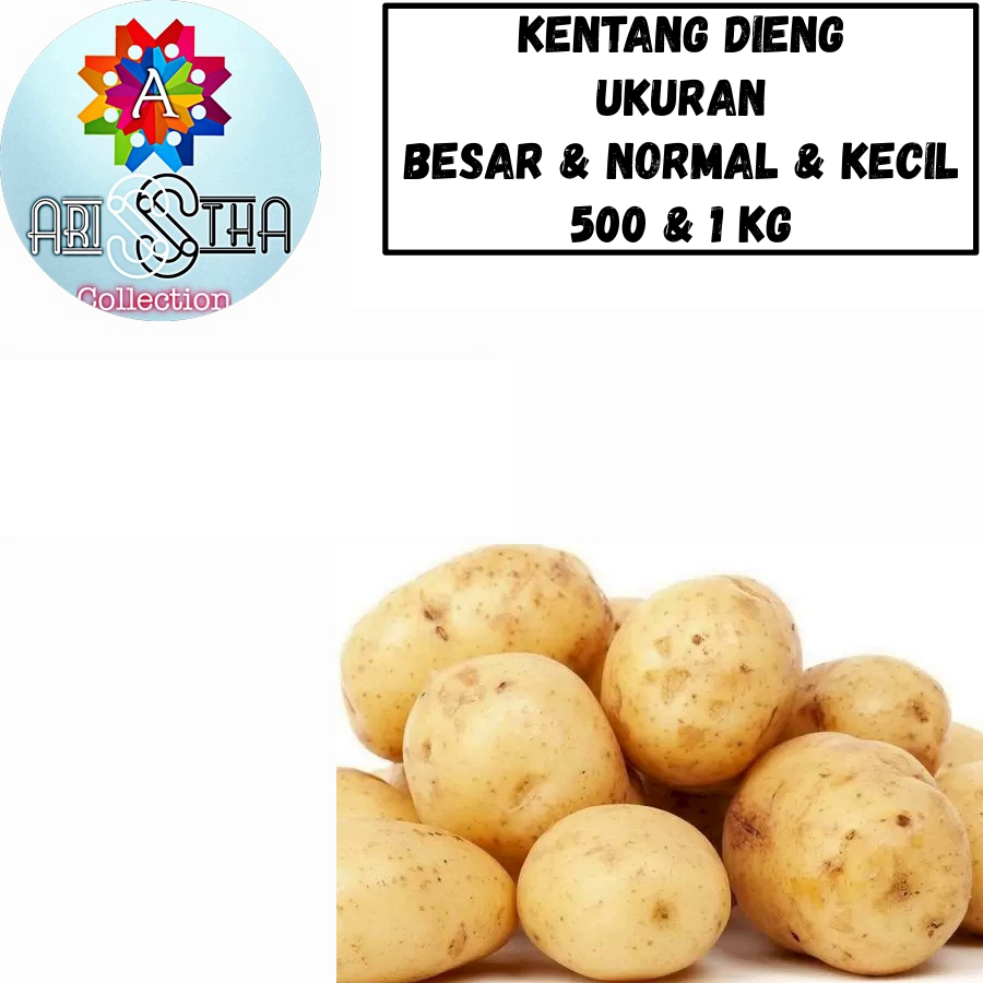 

Kentang Dieng Kemasan 500 dan 1 Kg Kecil Normal Besar