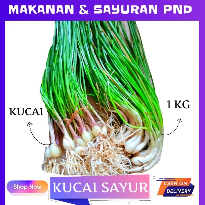 

Kucai Sayur Segar Bawang Batak Berat 1 kg