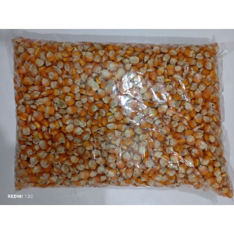 

Jagung Kering ukuran Besar