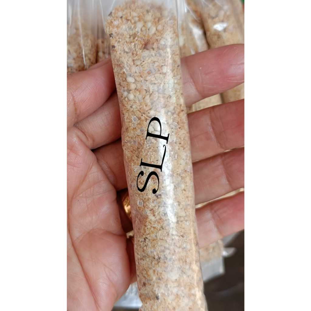 

Sagun 1 Pcs Khas Selatpanjang