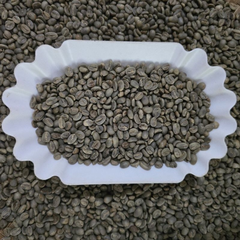 

Sunda Wangi | Green Beans Kopi Arabika Cikajang Full Washed -1Kg (GRATIS ONGKIR)