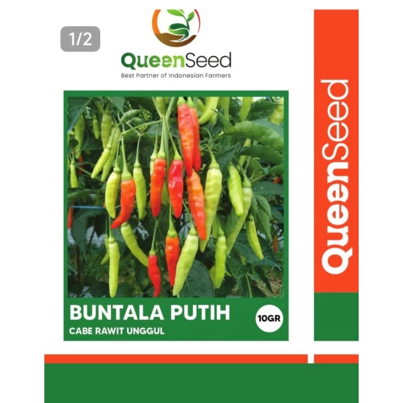 

Cabai Caplak Buntala putih 10 gram