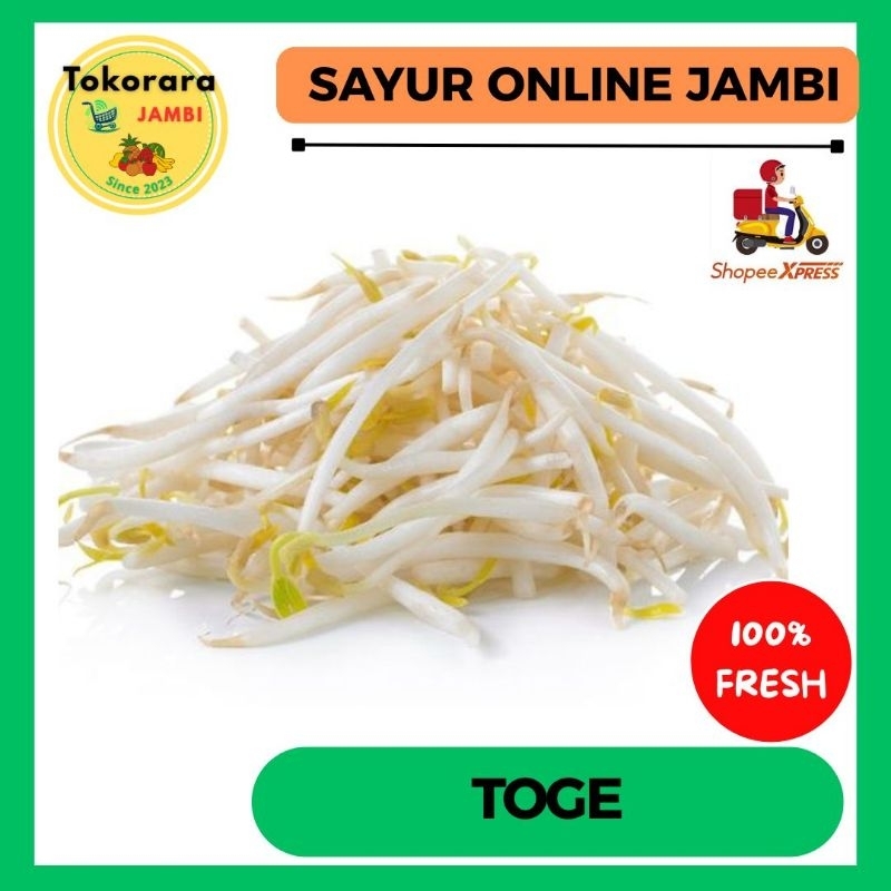 

Toge Panjang Segar/Kecambah/Tauge-Tokorara.Jambi