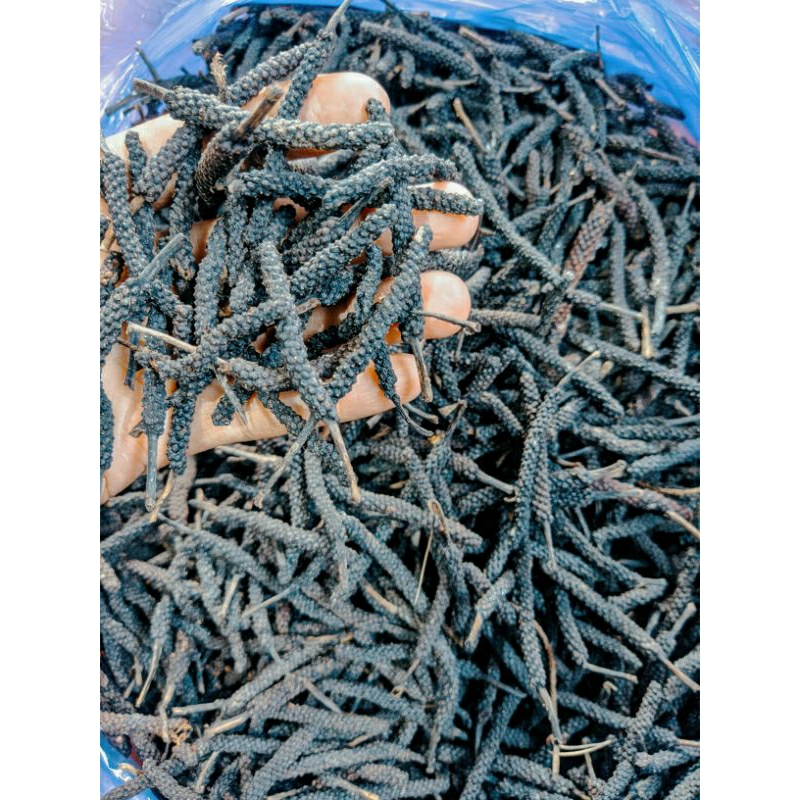 

CABE JAWA / CABE JAMU/ CABE PUYANG 100 gram, obat herbal, kualitas super