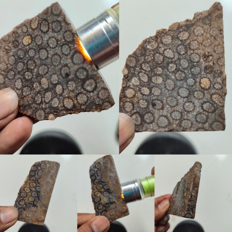 Batu akik teratai hitam/ Akik sarang tawon/Teratai hitam