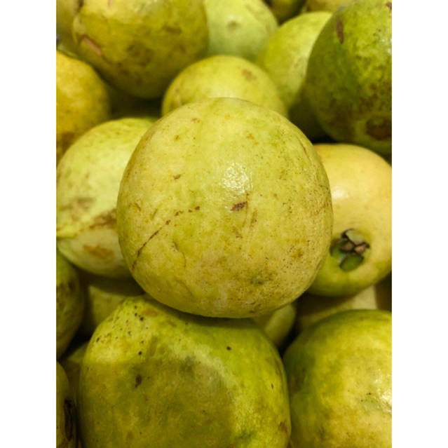 

buah jambu biji merah 1 kg fresh produk lokal