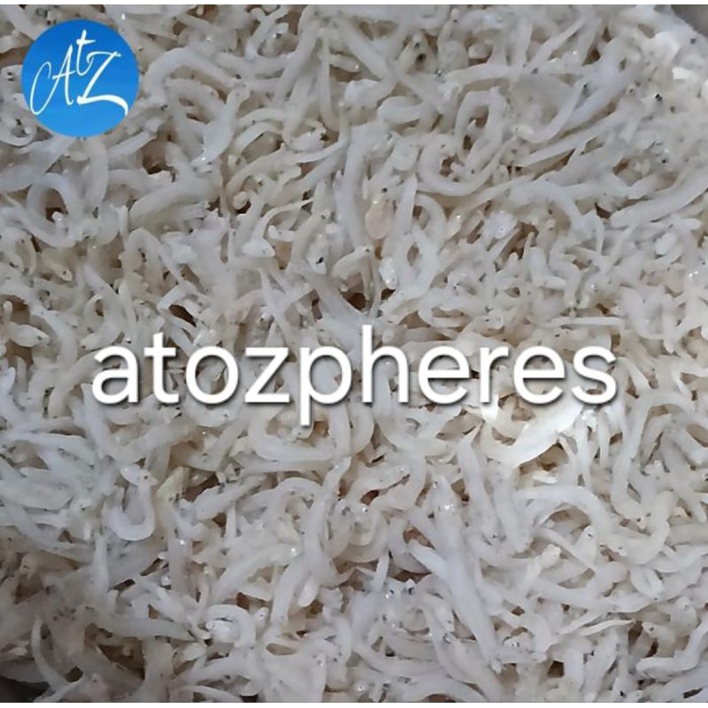 

Ikan asin teri toge nasi putih Medan 100g