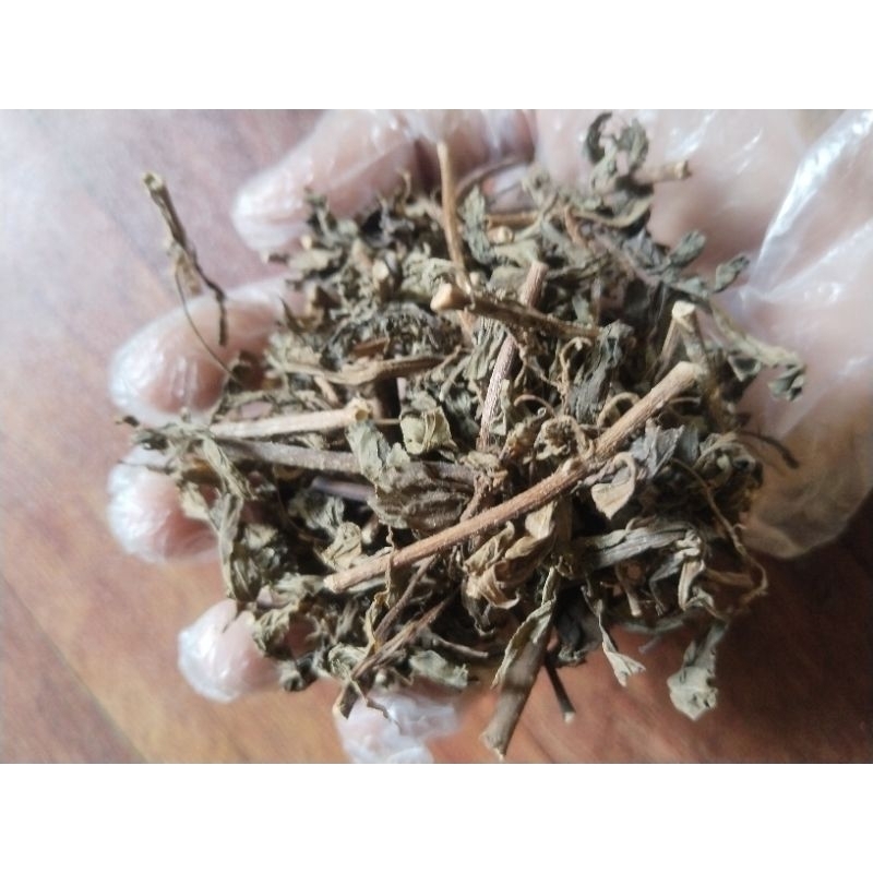 

250 gram kumis kucing Organik kering, kualitas Super