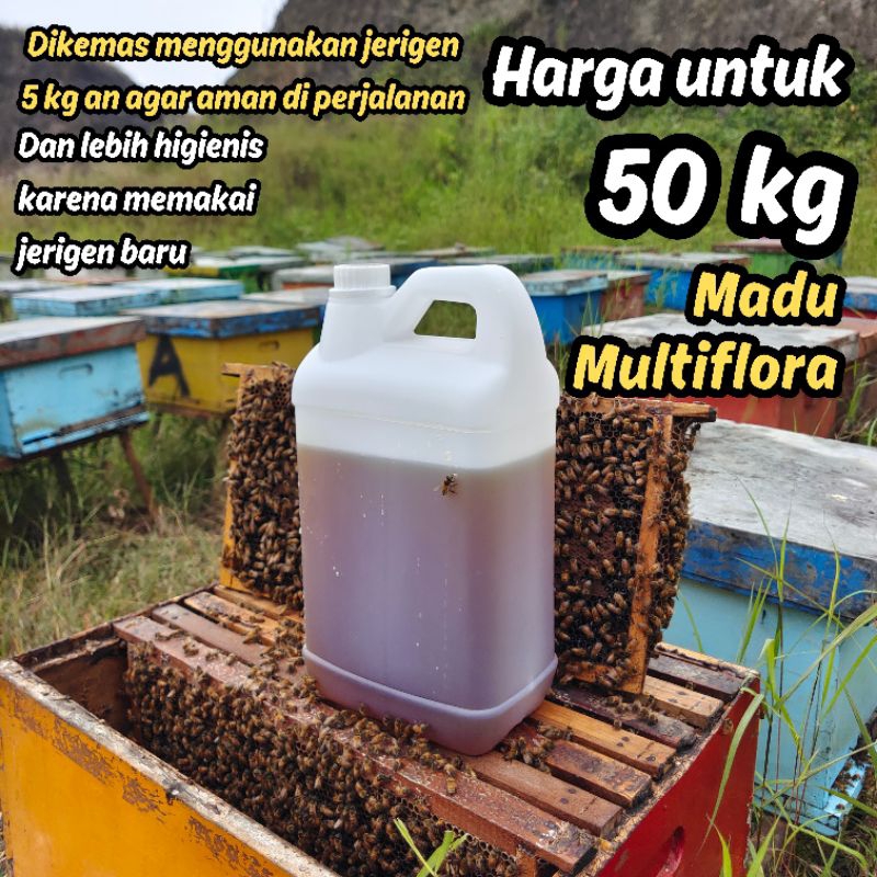 

Madu Multiflora 50kg | Harga Grosir | Raw Honey