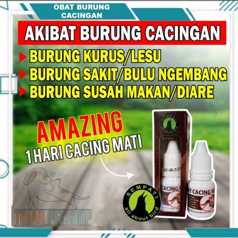 Sempati Obat Cacing Sempati Mengobati Burung Sakit Cacing Kurus Lesu Untuk Murai Kacer Lovebird Anis
