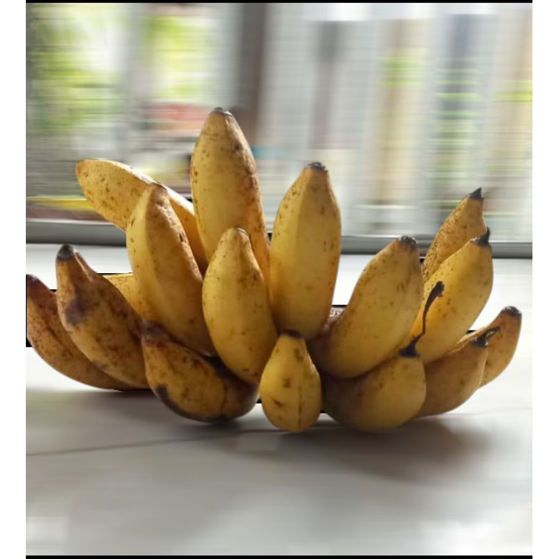 

buah pisang susu 1sisir