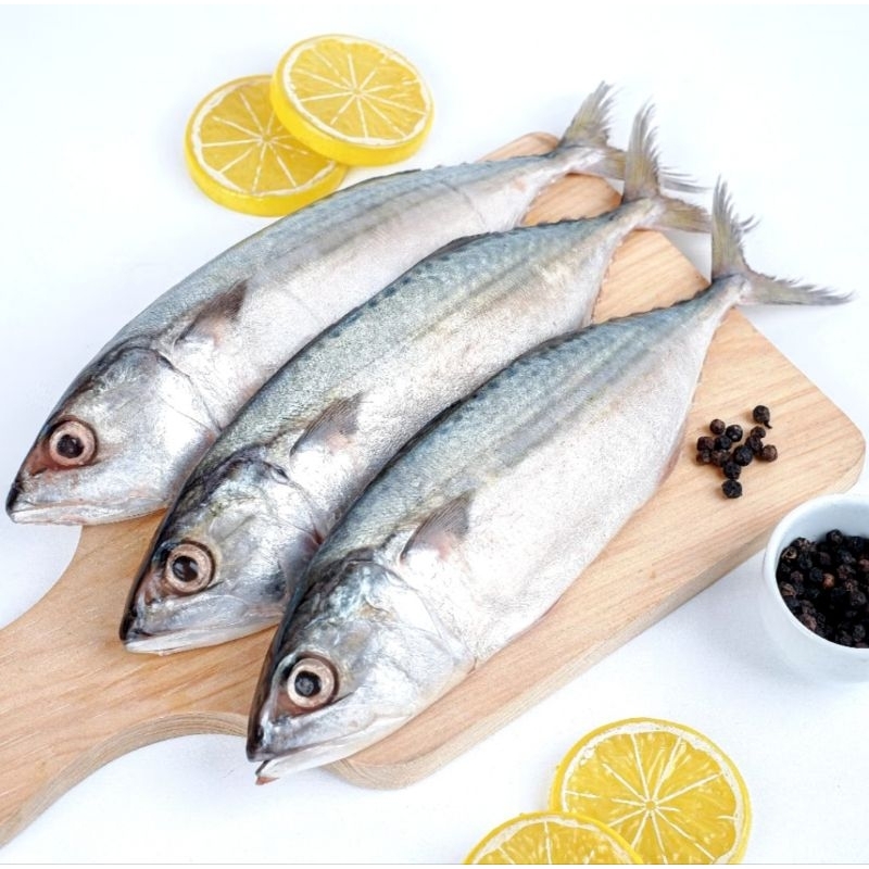 

Ikan Kembung Jumbo