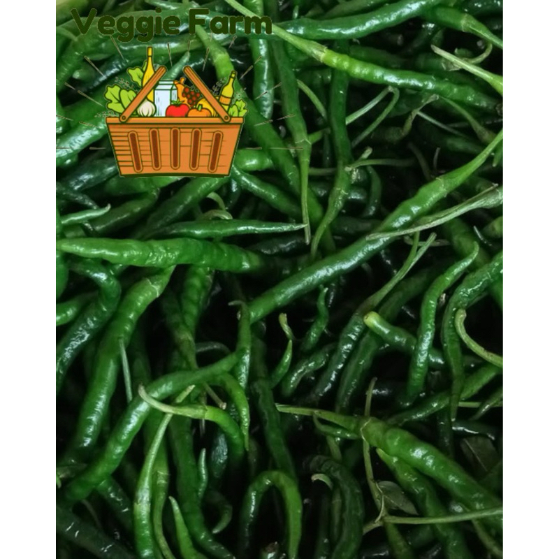 

Veggie Farm - Cabe Keriting Hijau PALING MURAH