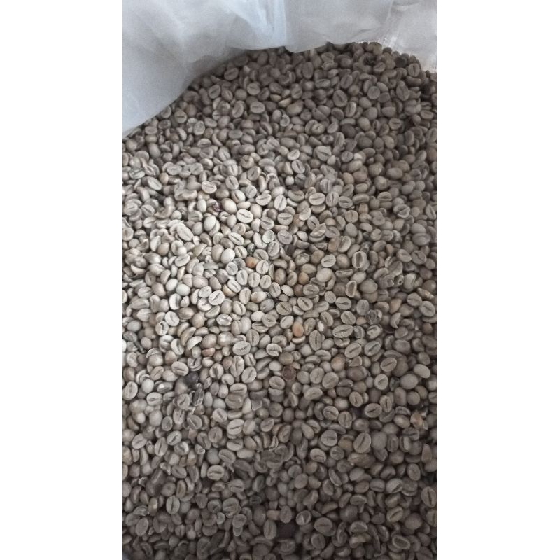 

greenbean robusta Temanggung 2025