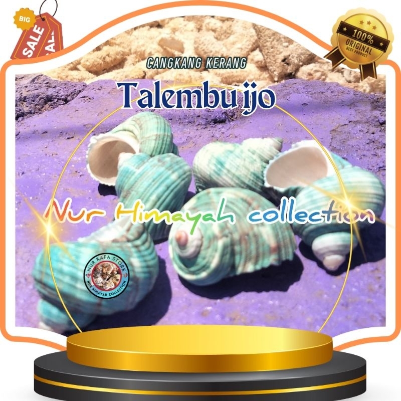 cangkang kerang TALEMBU HIJAU 100gr