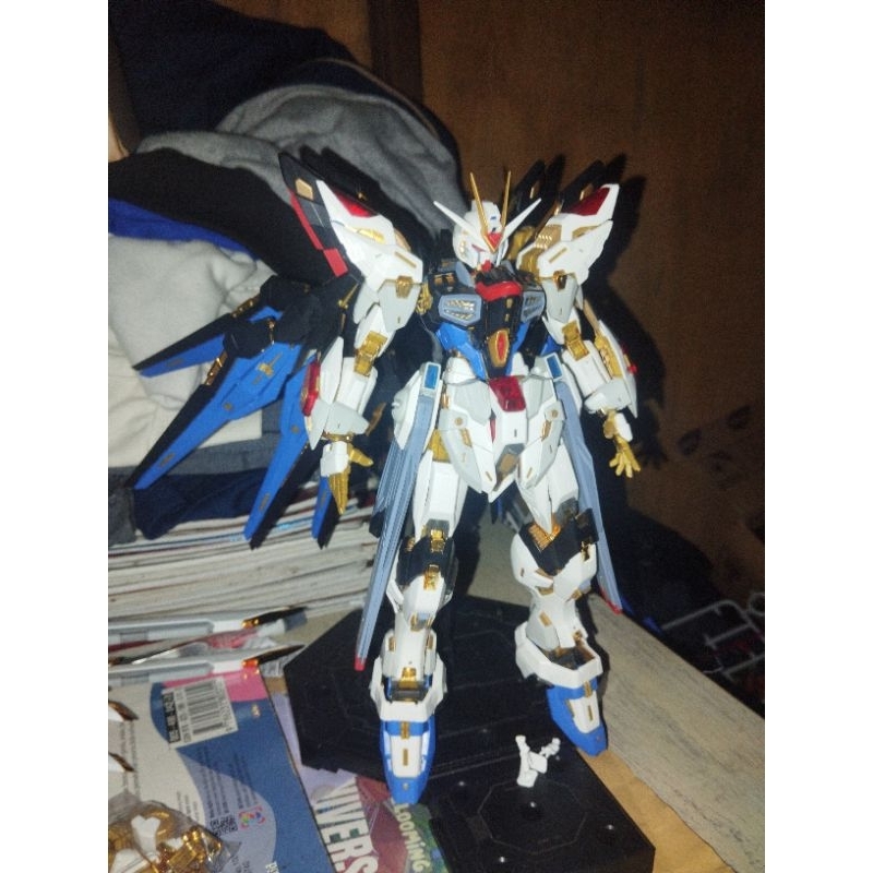 mgex strike freedom 1/100 xunxin
