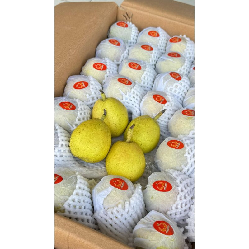 

Pear Xianglie (BOX)