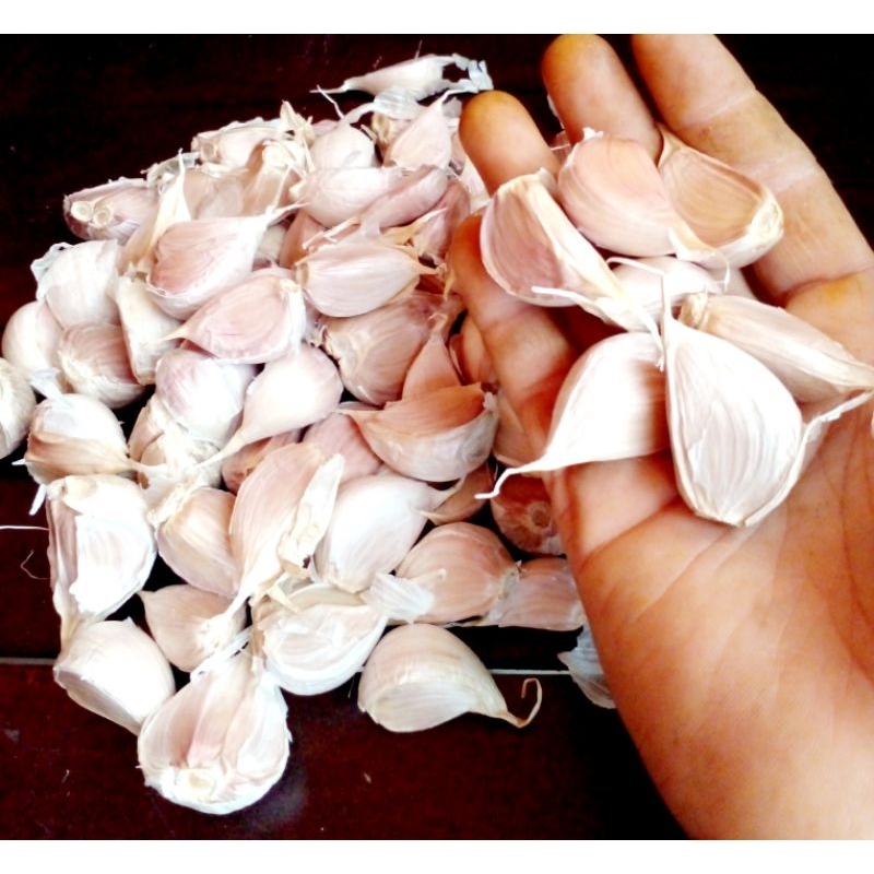 

Bawang putih kating protol