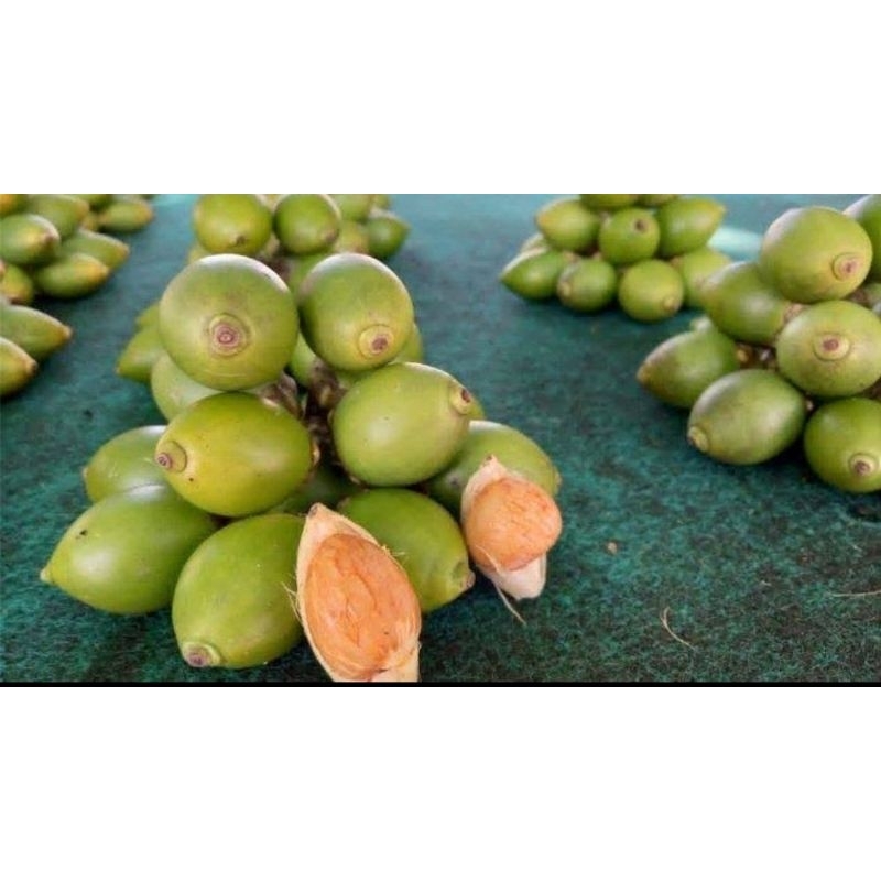 

buah pinang 800 gram