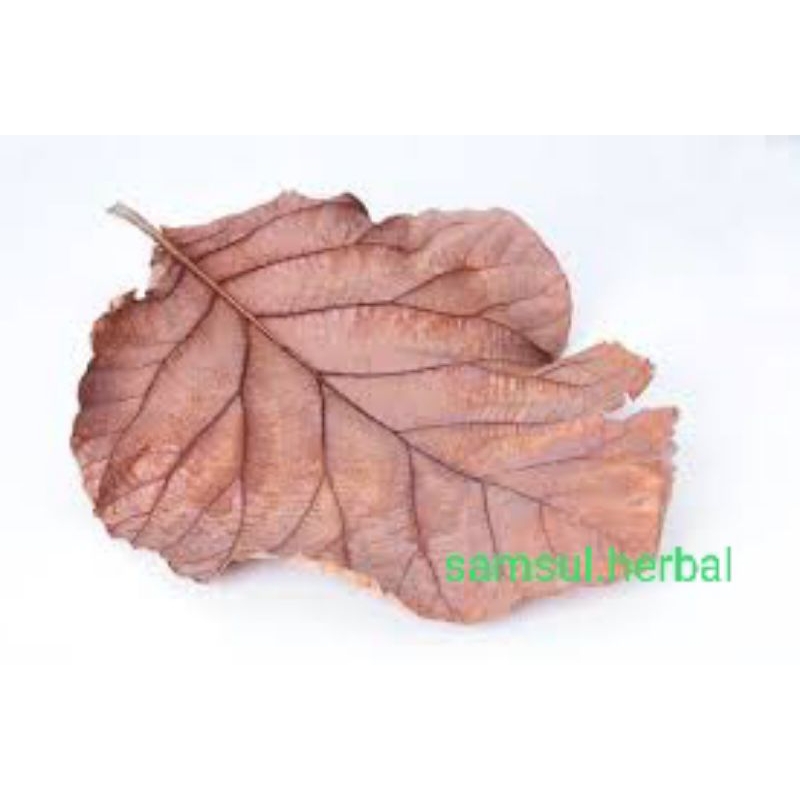 

daun jati kering 100g/samsul.herbal
