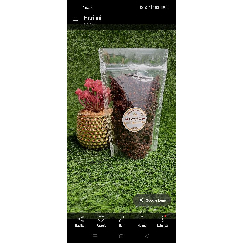 

cengkeh pilihan berkualitas