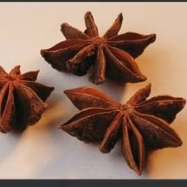 

bunga lawang | star anise | kembang lawang | pekak 50 gr rempah