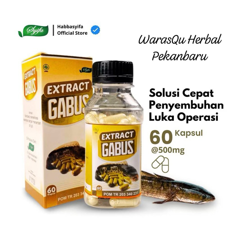 Ekstrak Gabus Kapsul Ikan Gabus Syifa || BPOM 60 Kapsul