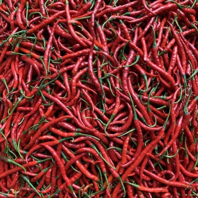 

Cabe Merah Kriting 2Kg