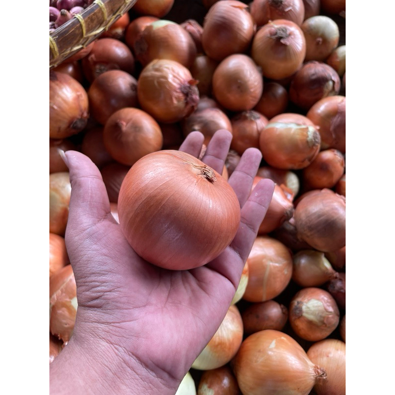 

BOMBAY UNION FRESH PROMO