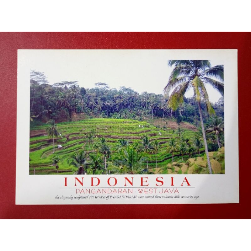 

KARTU POS INDONESIA THE ELEGANTLY SCULPTURED RICE TERRACES OF PANGANDARAN WEST JAVA