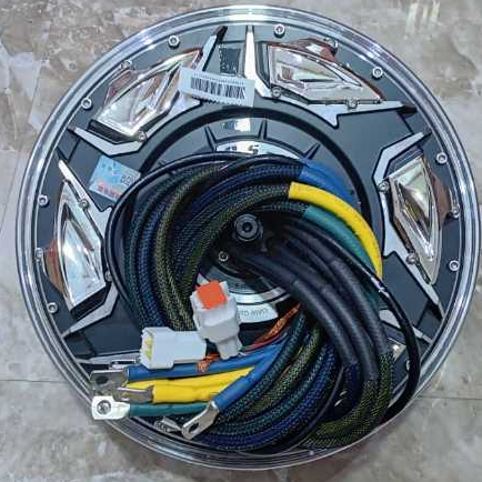 BLDC QS Motor 12 Inch Type Race WP 5000-20.000 Watt