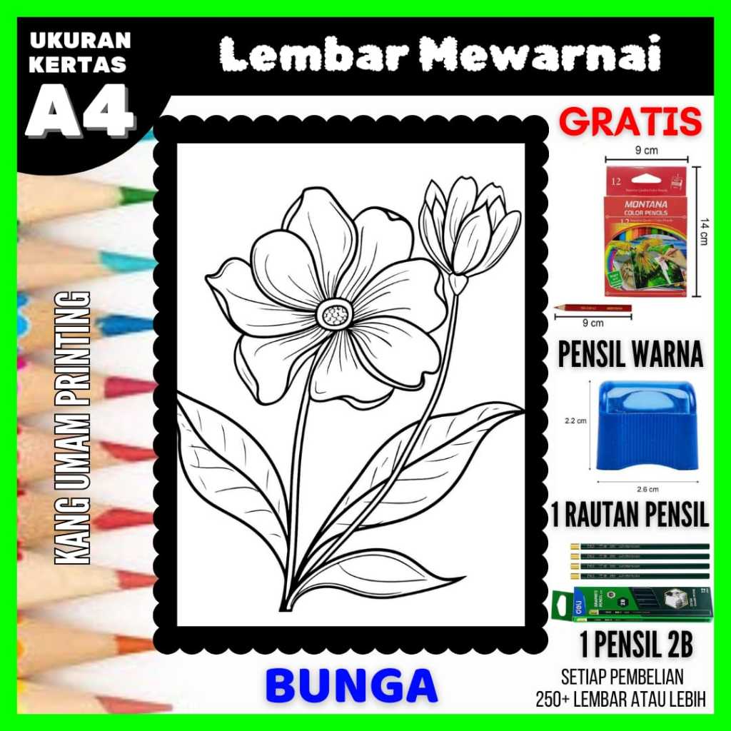 

Lembar Mewarnai Gambar Berbagai Macam Bunga Semua Usia Bagian 11, Sketsa , Kertas Mewarnai , Drawing