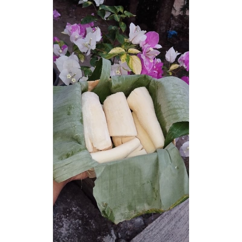 

TAPE SINGKONG KHAS GEMBONG ENAK MANIS & LEZAT