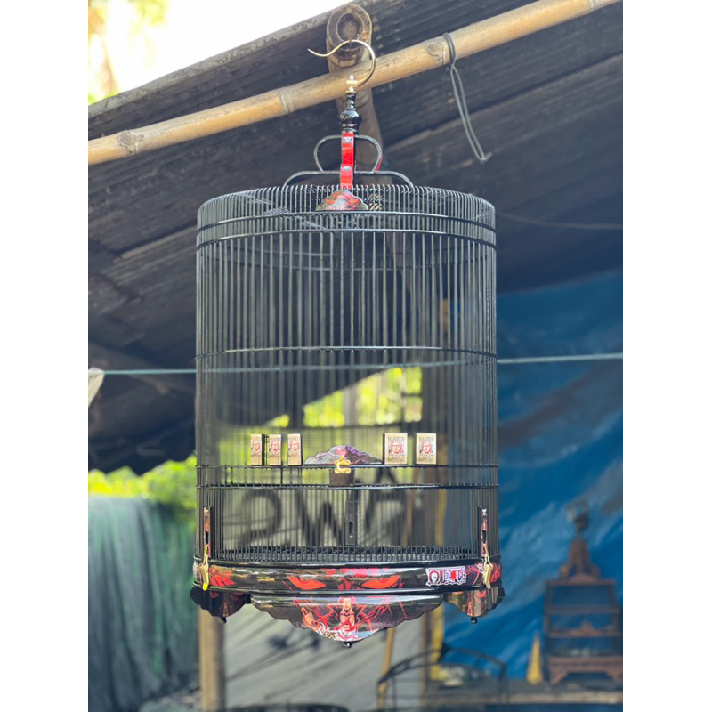 sangkar murai ruji atas rapet custom decal