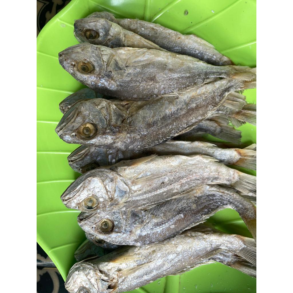 

Ikan Asin Kepala Batu Sumatera Rasa Khas Super Gurih & Tahan Lama Siap Goreng & Nikmat
