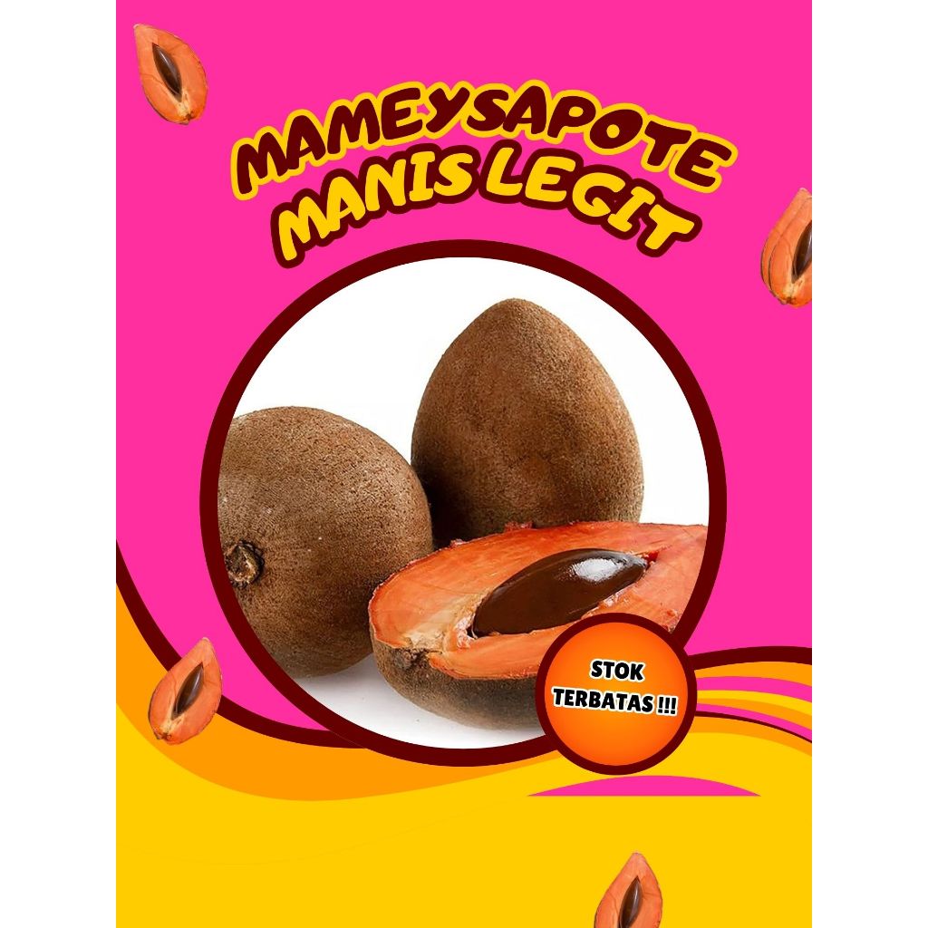 

PALING DICARI !! Mamey Sapote Sawo