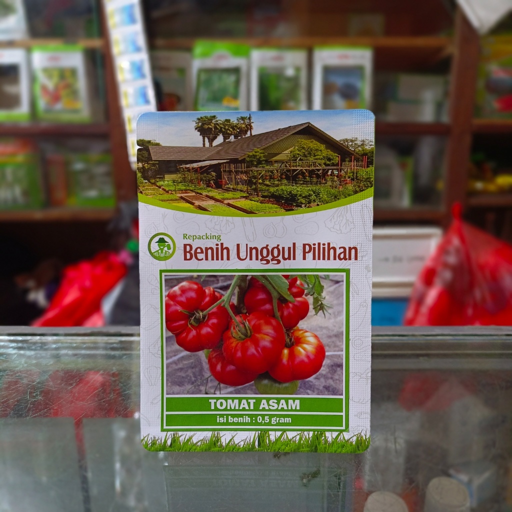 Benih tomat asam/tomat mawar/tomat lokal/tomat gerigi
