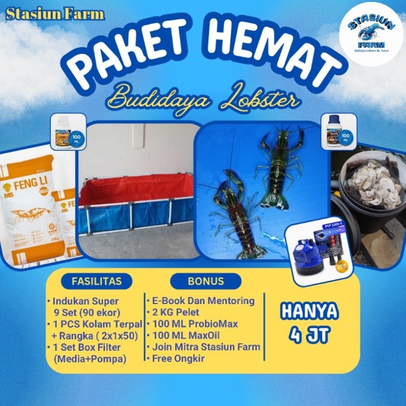 PAKET HEMAT BUDIDAYA LOBSTER AIR TAWAR