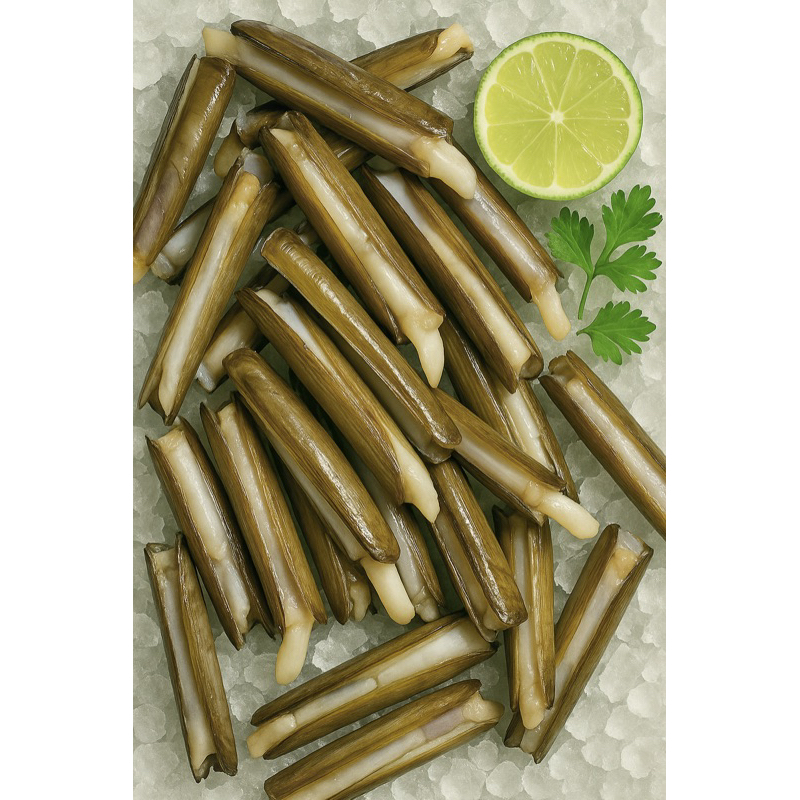 

kerang bambu frozen | kerang bambu termurah | Seafood | 1kg