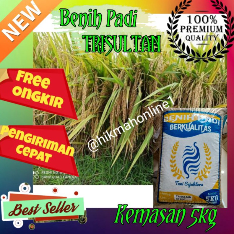 KODE W86H Benih Bibit Padi Trisultan Tri Sultan Unggul Kemasan 5kg