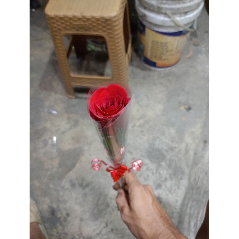 Bunga Mawar 1 Tangkai | Bunga Mawar Asli |Bungahari guru | bunga hari ibu