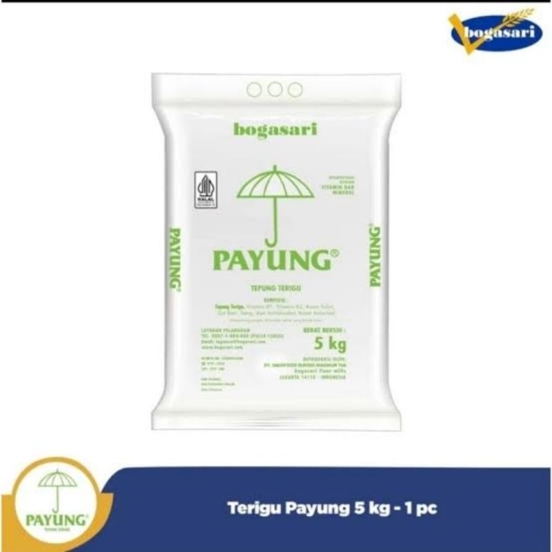 

TEPUNG MERK PAYUNG 5KG
