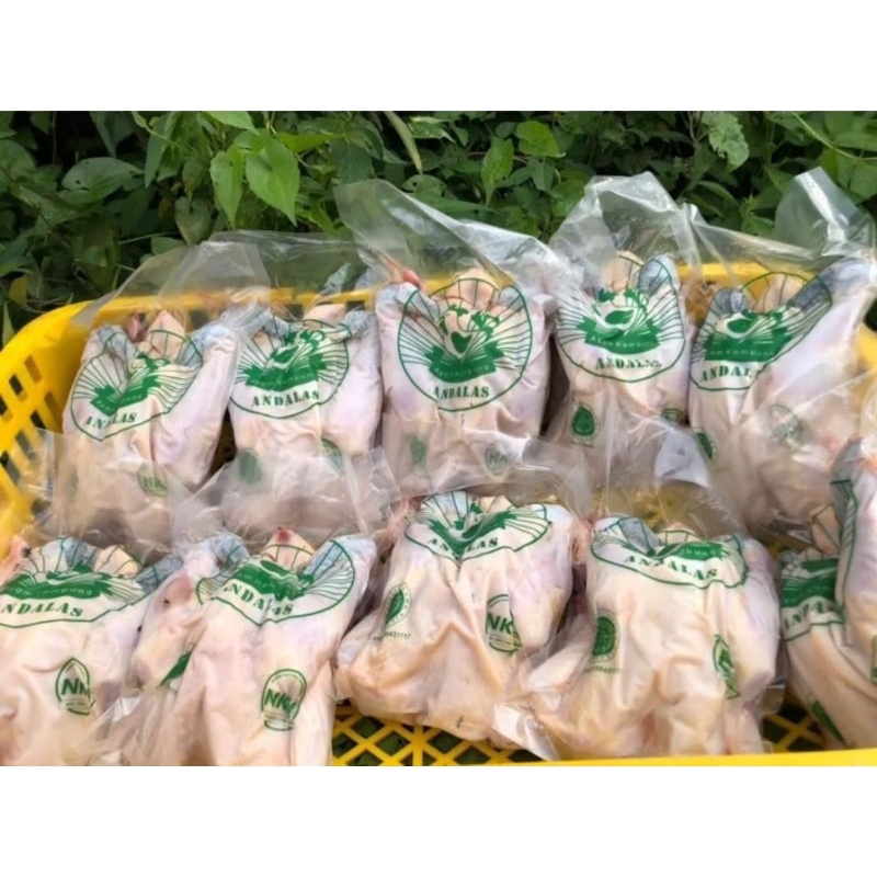 

Ayam Kampung Utuh Andalas Free Range