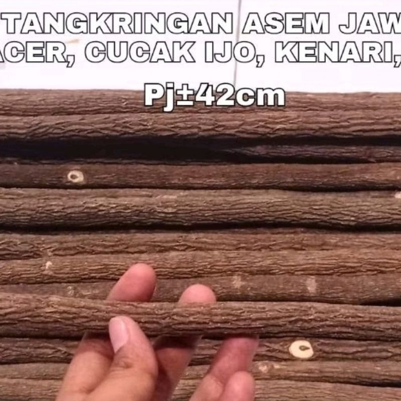 FLASH SALE TANGKRINGAN ASEM JAWA