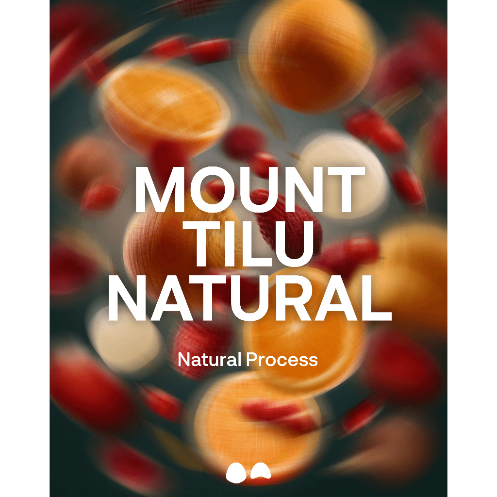 

Natural Mount Tilu_Espresso/Filter_sans.sat_Kopi Premium Arabika