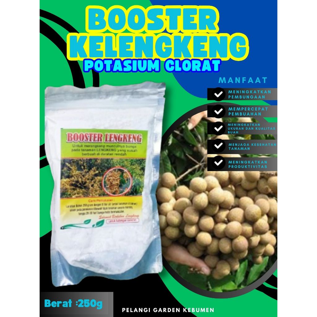 SOLUSI AMPUH  Pupuk Buah Kelengkeng Kclo 3 250 gram