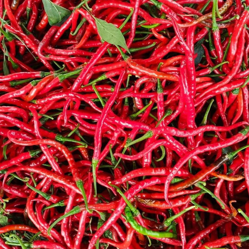 

Cabe/Cabai Merah Keriting 500gram Segar | Asli Dari Petani Blitar