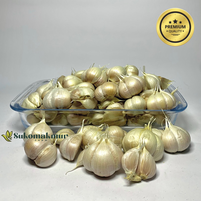 

Bawang Putih Kating 1kg Termurah